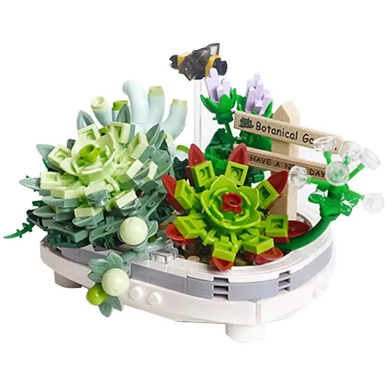 succulents alternate build